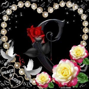 Meet your Posher, Chyrel